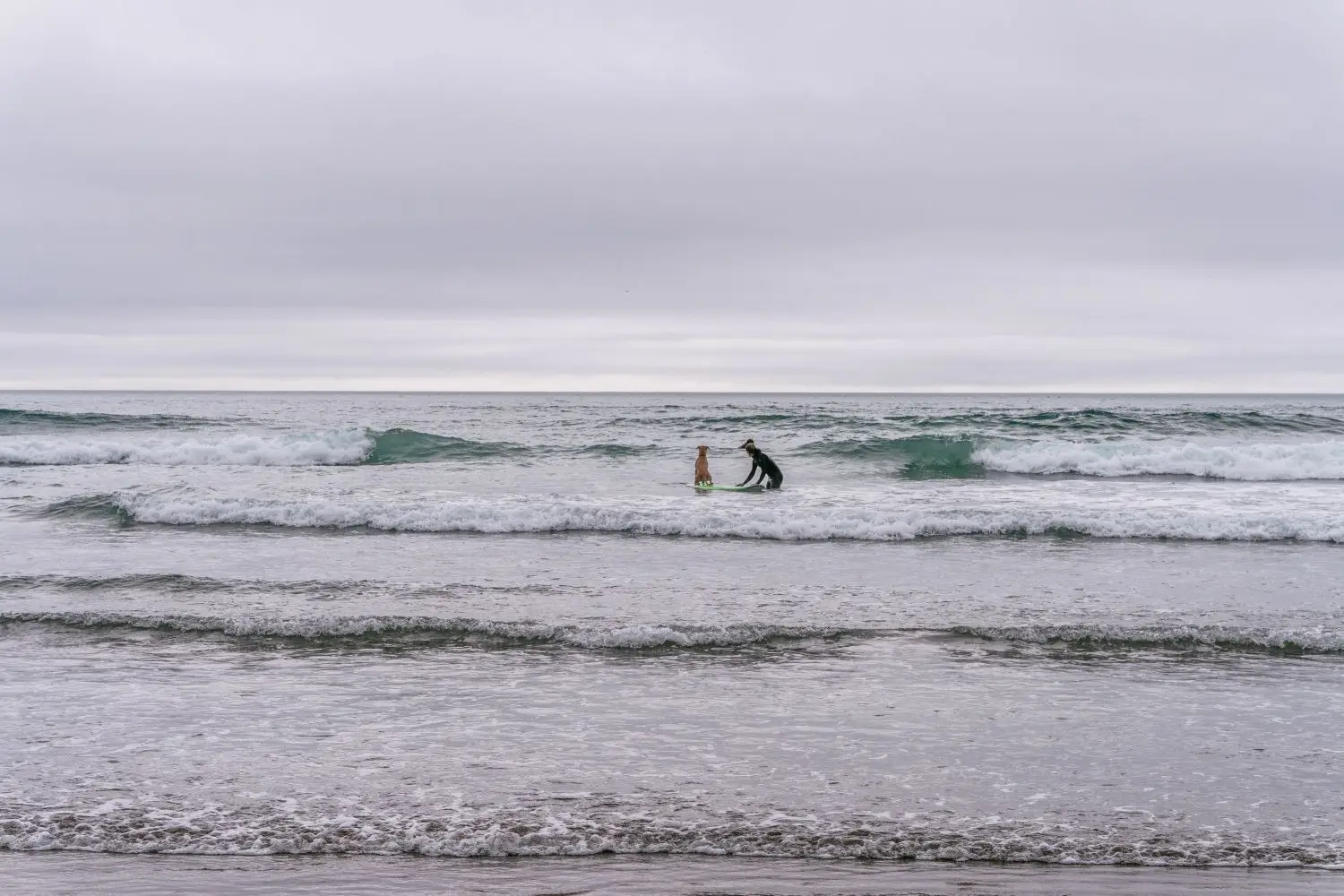 Surfers spread across a small breaking lineup
