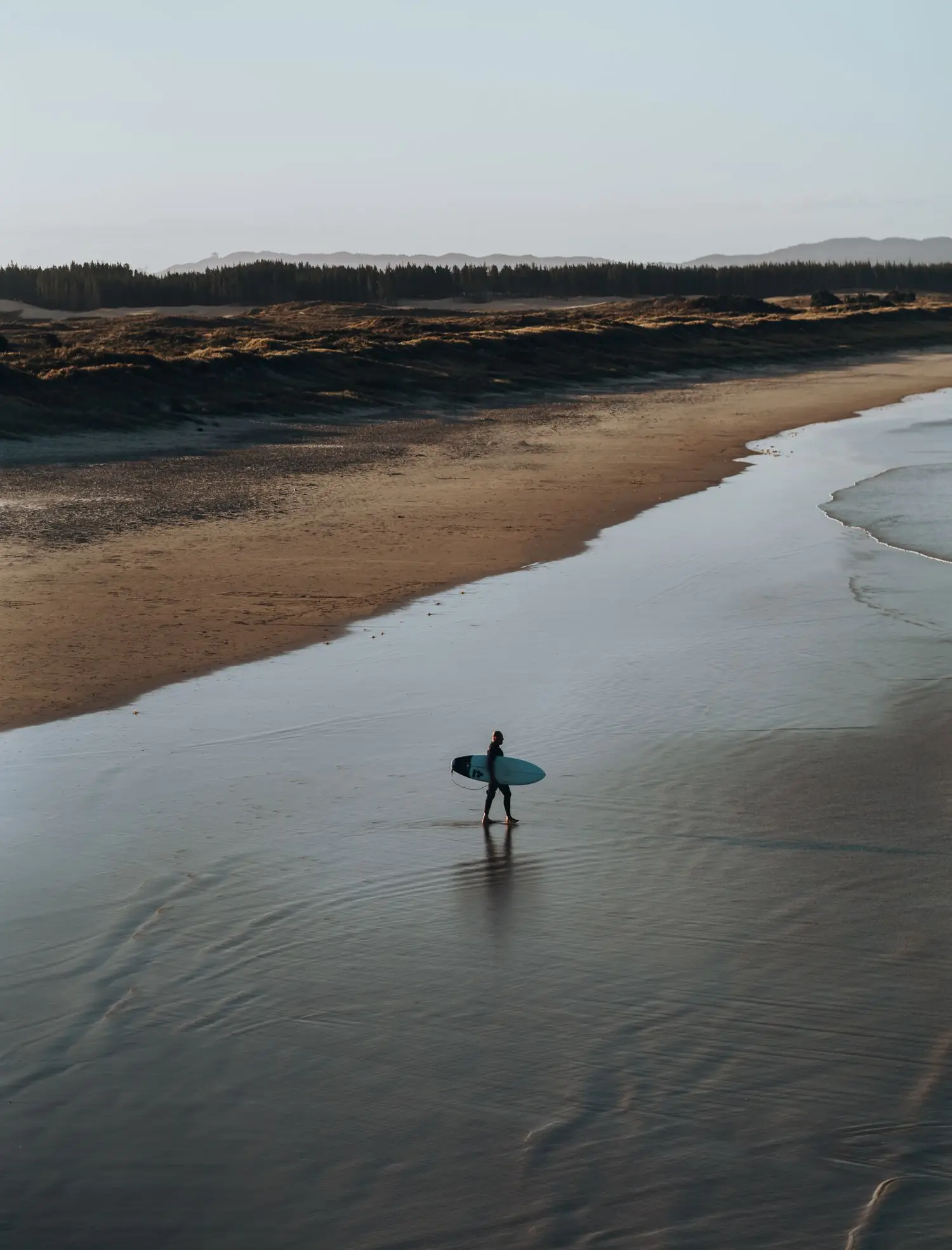 Surfer walking along a quiet New Zealand shoreline with a surfboard